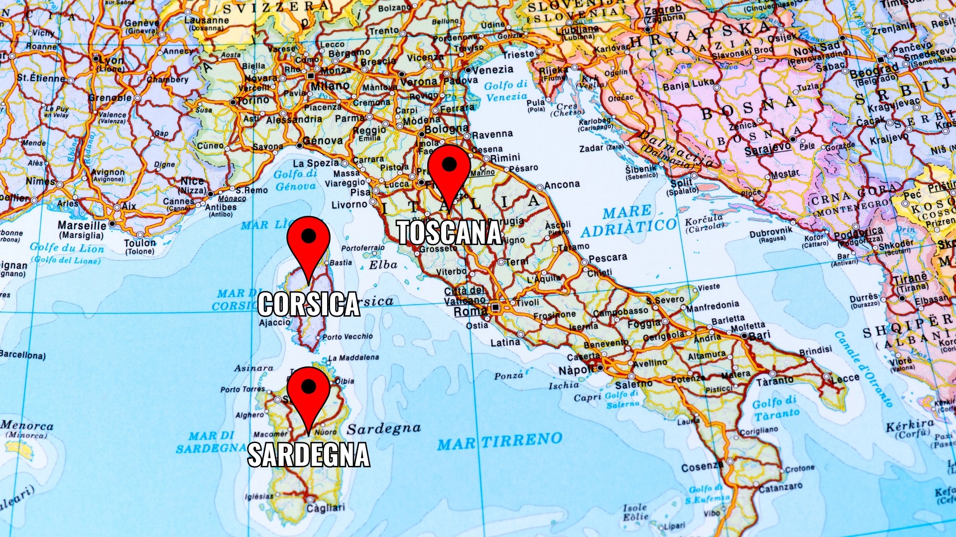 Tour Operator